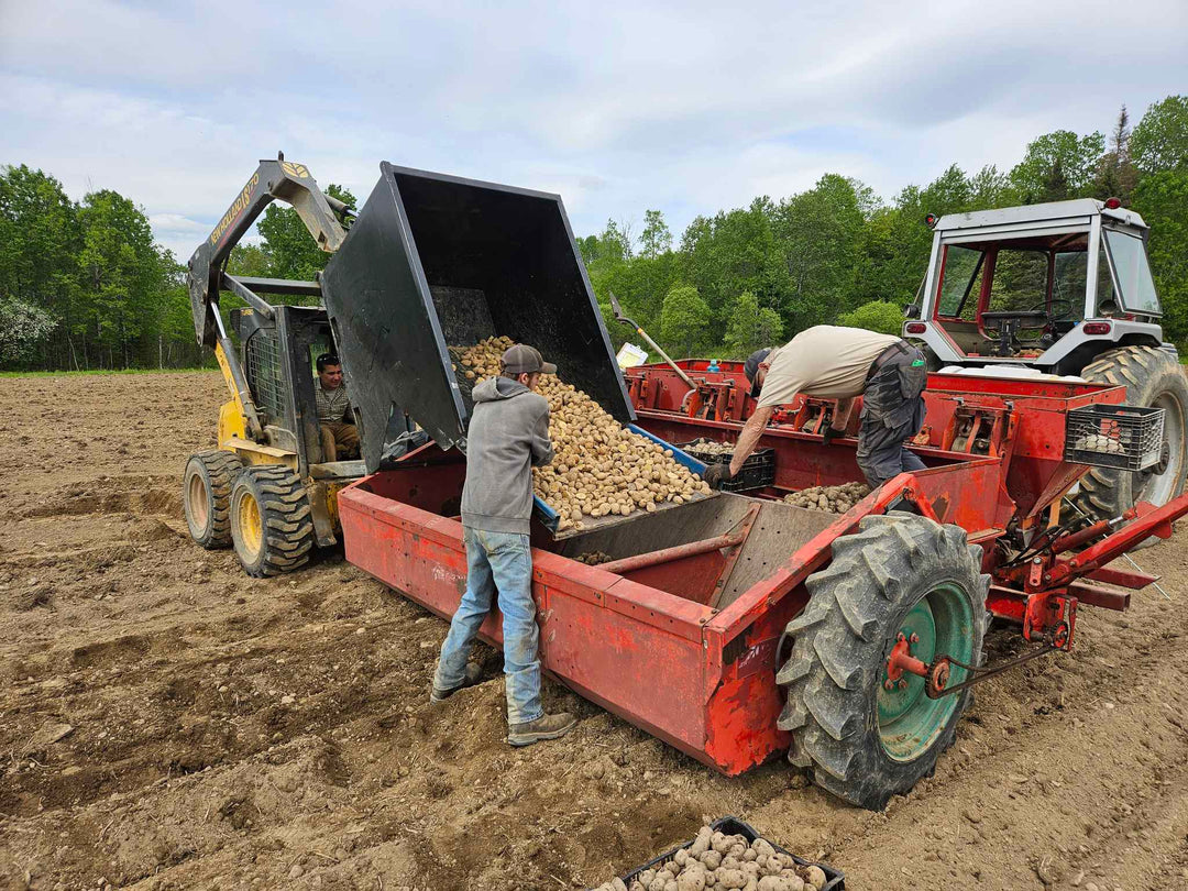 Caleb and Justin working on the planter.