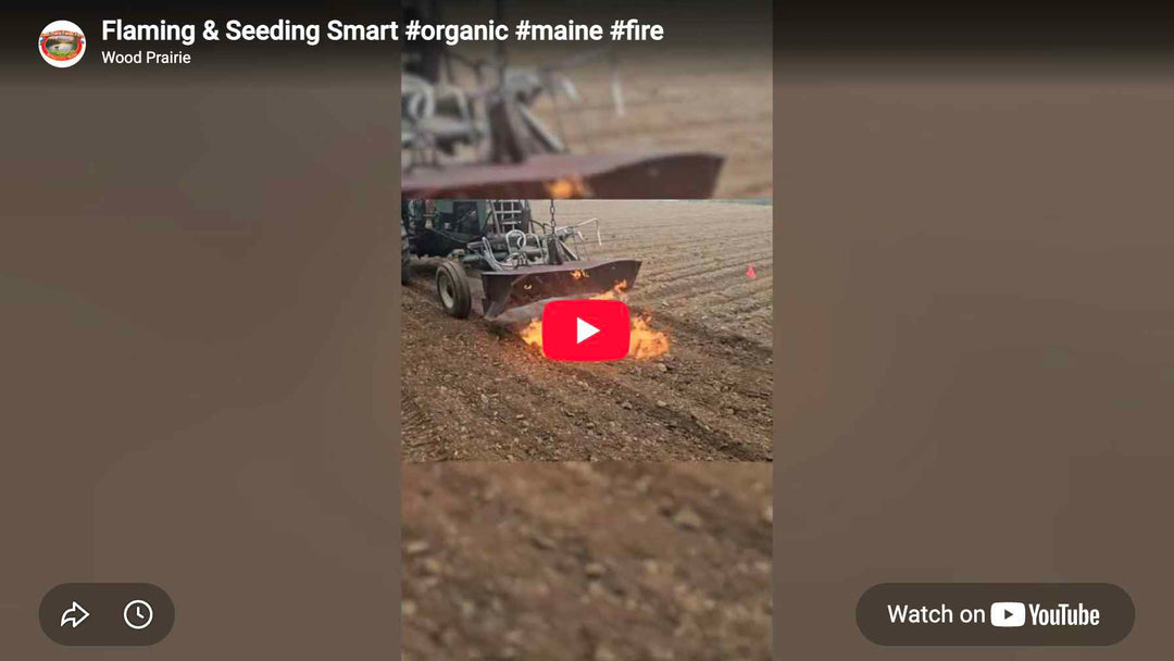 Preview image of the video embedded in this blog post.