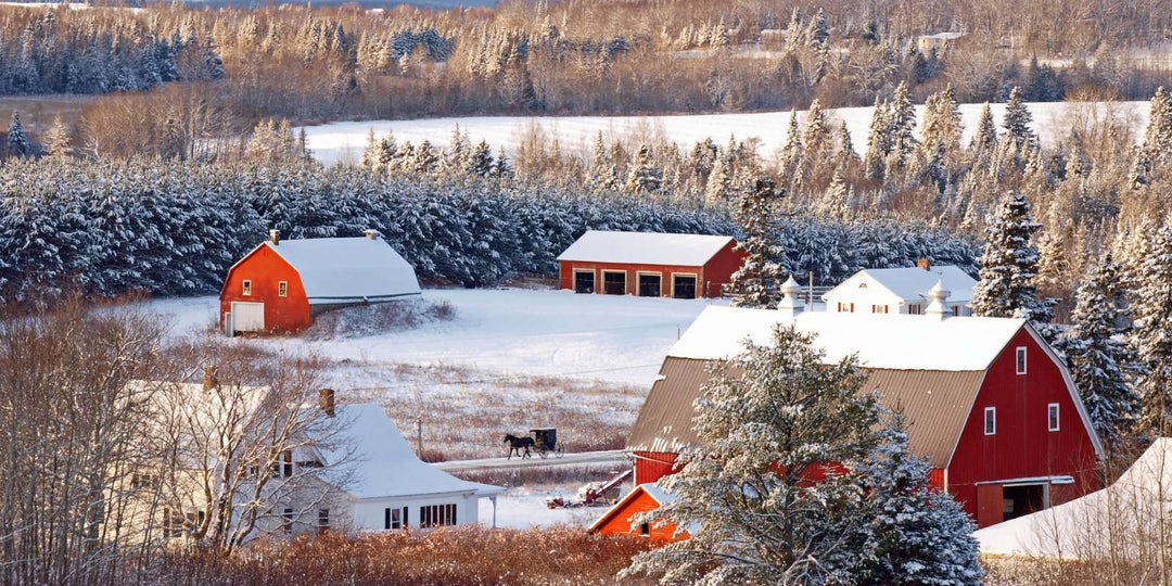 WINTER SCENE IN AROOSTOOK COUNTY, MAINE.