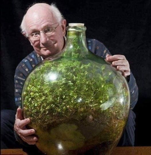 In 1960, David Latimer planted a tiny garden inside of a large glass bottle and sealed it shut. He opened the bottle 12