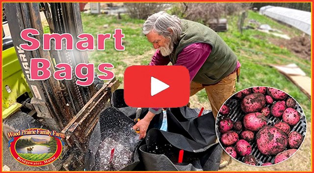 NEW! WOOD PRAIRIE FAMILY FARM VIDEO: "From Seed to Supper: Growing Potatoes in Smart Bags."  Find Video LINK in the Comm