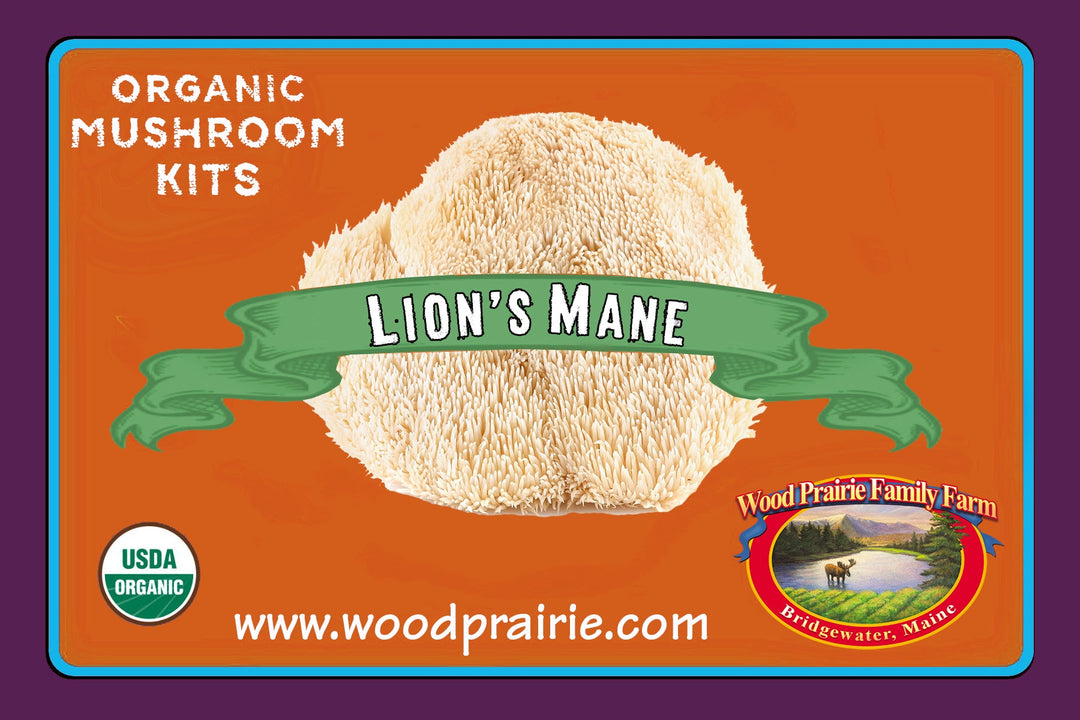 FREE SHIPPING OFFER!  The Gift That Keeps on Giving:  Indoor Organic Mushroom Table-Top-Farm Kits.

     While outdoor M