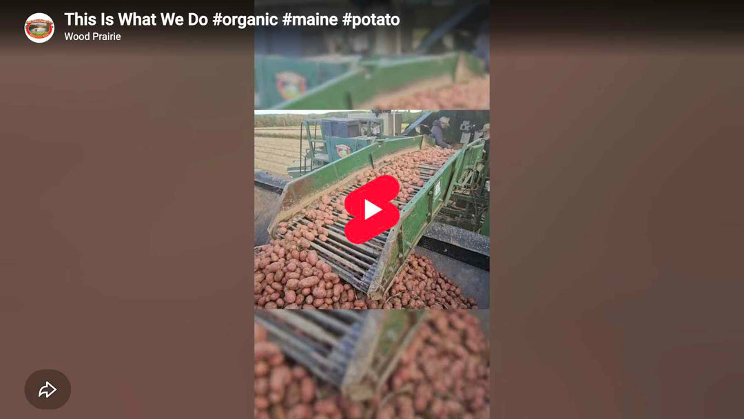 Preview image of the video embedded in this blog post.