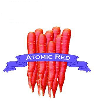Carrot Seed. Organic Atomic Red. Pkt. image 0