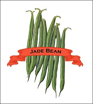 Bean Seed. Organic Jade. Pkt. image 0