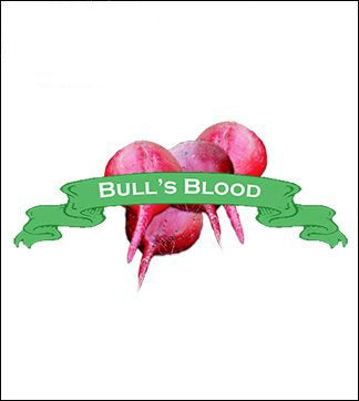 Beet Seed. Organic Bull&