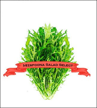 Specialty Greens Seed. Organic Mizspoona Salad Select. Pkt. image 0