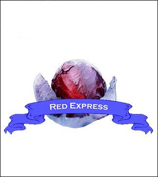 Cabbage Seed. Organic Red Express. Pkt. image 0