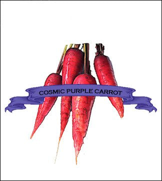 Carrot Seed. Organic Cosmic Purple. Pkt. image 0