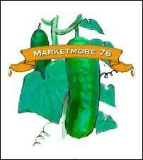 Cucumber Seed. Organic Marketmore 76. Pkt. image 0