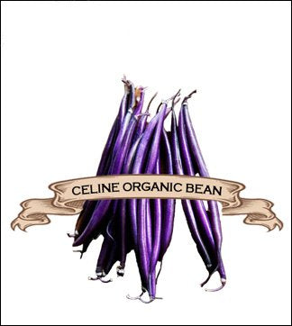Bean Seed. Organic Celine. Pkt. image 0