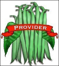 Bean Seed. Organic Provider. Pkt. image 0