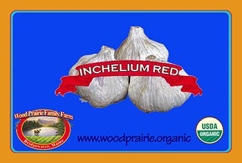 Garlic Seed. Organic Inchelium Red for Planting. image 0