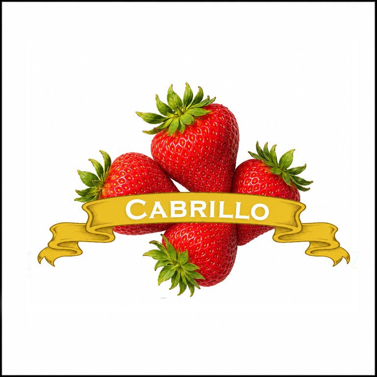 Strawberry Plants. Organic Cabrillo. image 0