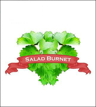 Burnet Seed. Organic Salad Burnet. Heirloom. Pkt. image 0