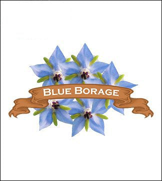 Borage Seed. Organic Blue. Heirloom. Pkt. image 0