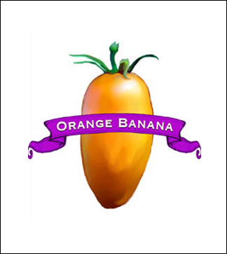 Tomato Seed. Organic Orange Banana. Heirloom. Pkt. image 0