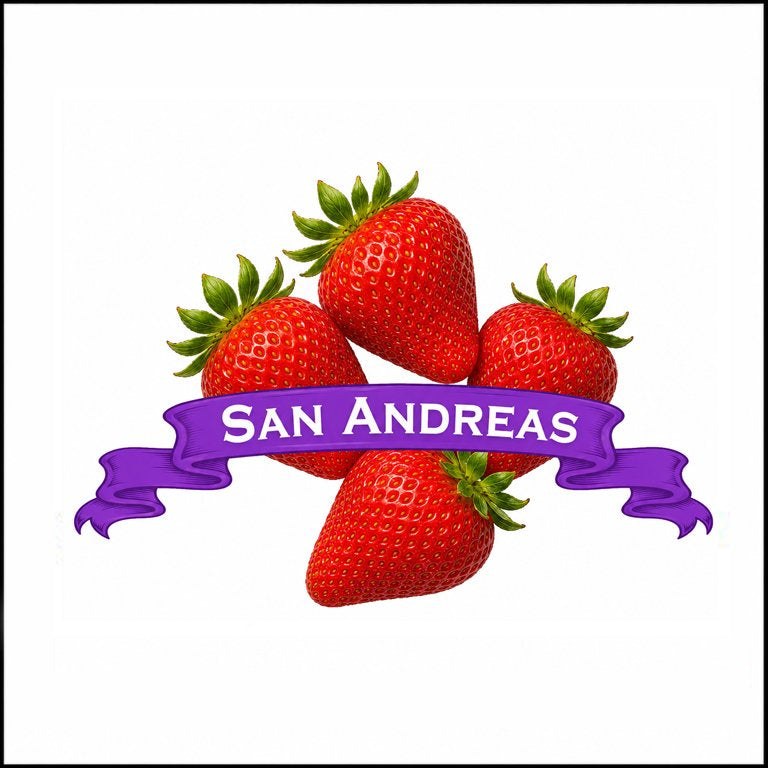 Strawberry Plants. Organic San Andreas. image 0