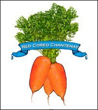 Carrot Seed. Organic Red Cored Chantenay. Pkt. image 0
