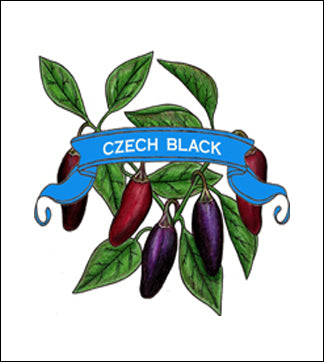 Pepper Seed. Organic Czech Black. Heirloom. Pkt. image 0