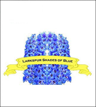 Larkspur Seed. Organic Shades of Blue. Pkt. image 0