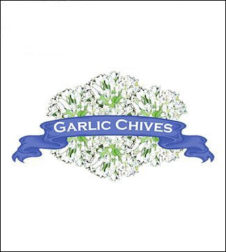 Garlic Chives Seed. Organic Garlic Chives. Heirloom. Pkt. image 0