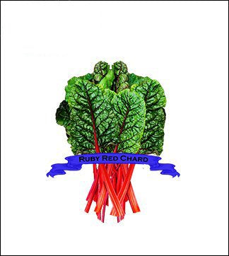 Swiss Chard Seed. Organic Ruby Red Chard. Pkt. image 0