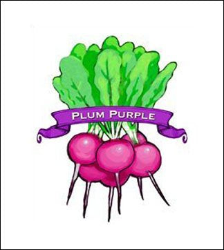Radish Seed. Organic Plum Purple. Heirloom. Pkt. image 0