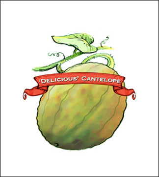 Melon Seed. Organic Delicious 51. Pkt. image 0