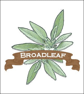 Sage Seed. Organic Broadleaf. Pkt. image 0