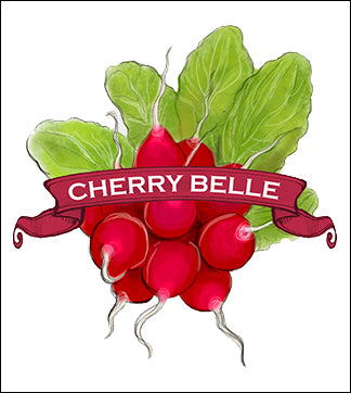 Radish Seed. Organic Cherry Belle. Heirloom. Pkt. image 0