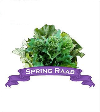 Broccoli Seed. Organic Spring Raab. Pkt. image 0