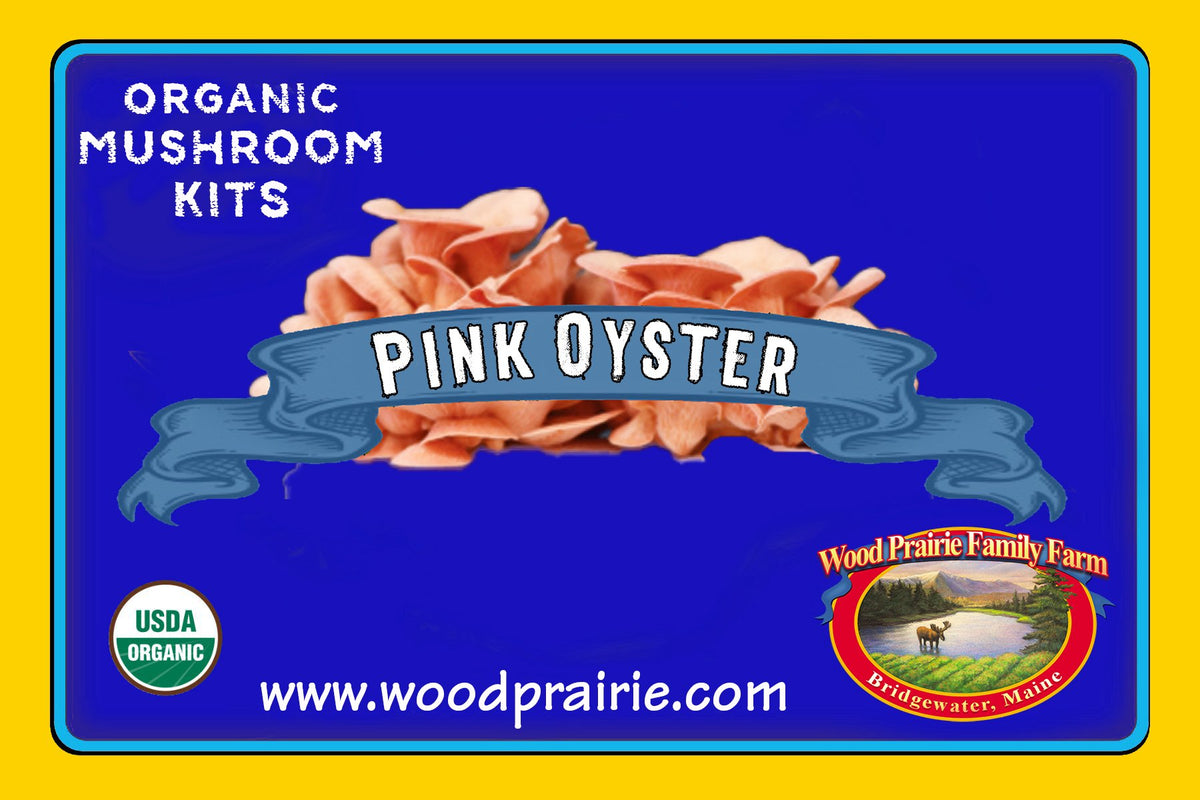 Mushroom Table-Top-Farm Kit. Organic Pink Oyster. image 0