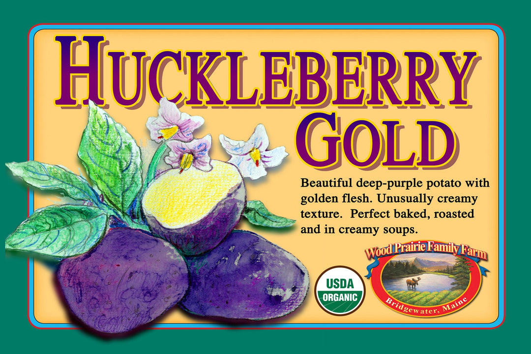 SUPREME. Organic Huckleberry Gold Certified Seed Potatoes image 0