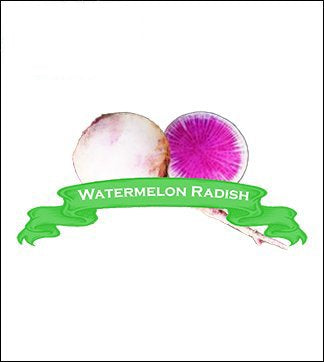 Radish Seed. Organic Watermelon Radish. Heirloom. Pkt. image 0