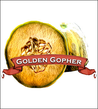 Melon Seed. Organic Golden Gopher. Heirloom. Pkt. image 0