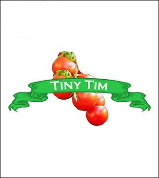 Tomato Seed. Organic Tiny Tim. Heirloom. Pkt. image 0