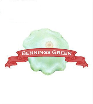 Squash Seed, Summer. Organic Bennings Green Tint Scallop. Heirloom. Pkt. image 0