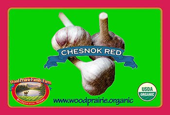 Garlic Seed. Organic Chesnok Red for Planting. image 0