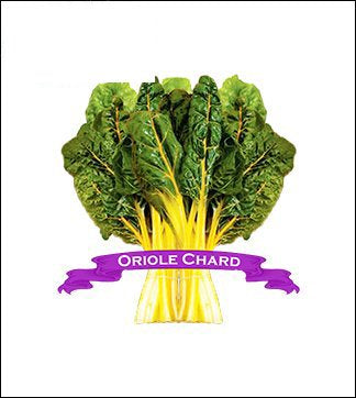 Swiss Chard Seed. Organic Oriole Chard. Pkt. image 0