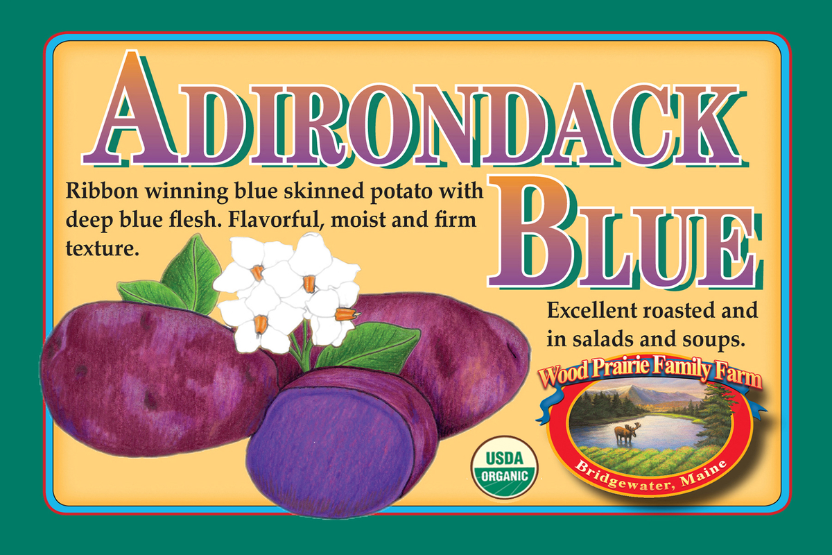Organic Adirondack Blue Certified Seed Potatoes image 0