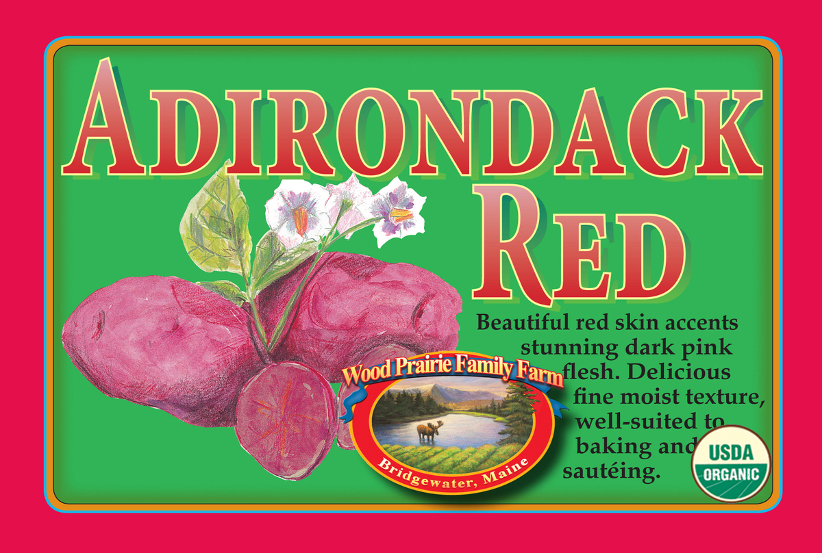 Organic Adirondack Red Certified Seed Potatoes image 0