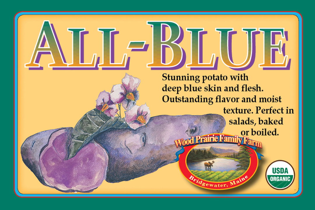 Organic All Blue Certified Seed Potatoes image 0
