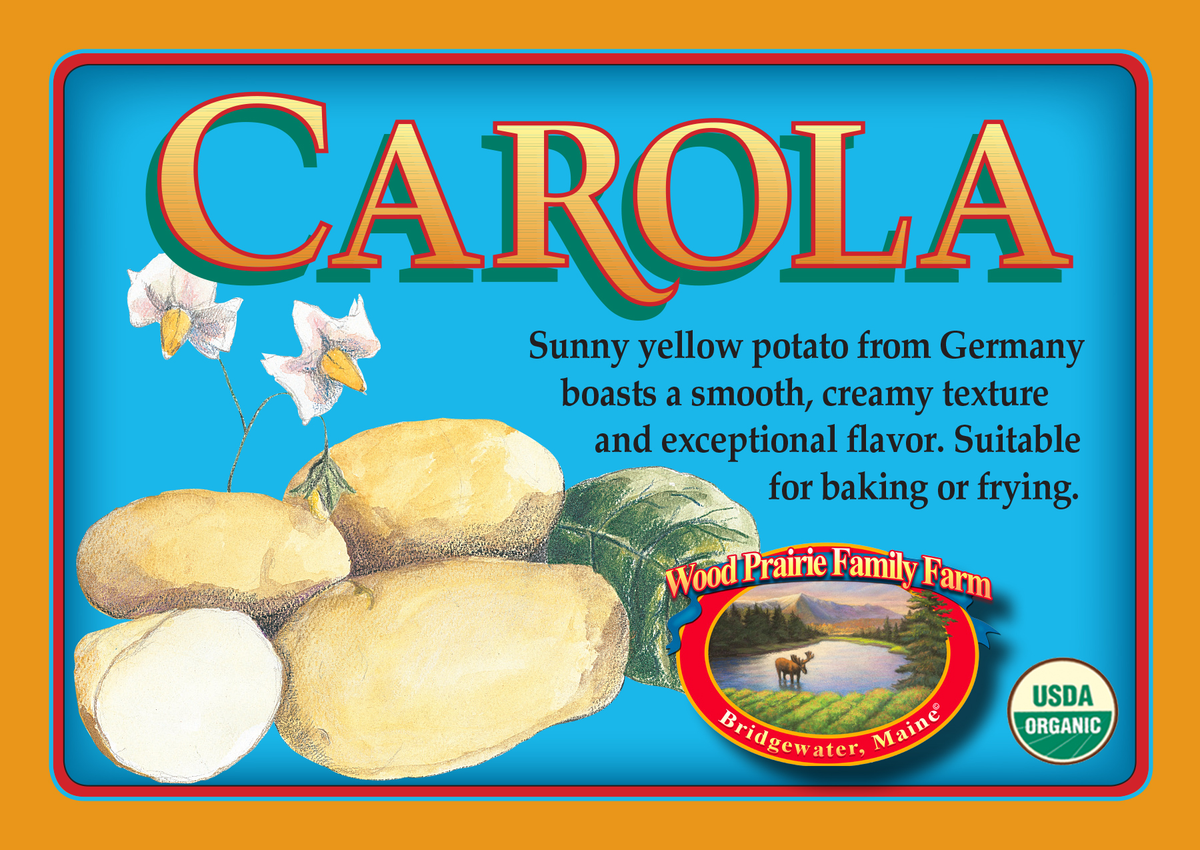 Organic Carola Certified Seed Potatoes image 0