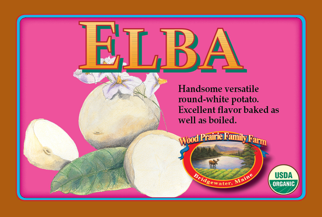 Organic Elba Certified Seed Potatoes image 0