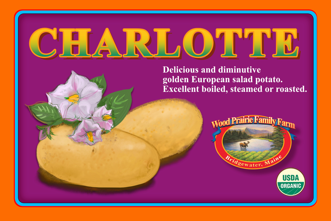 SUPREME. Organic French Charlotte Certified Seed Potatoes image 0