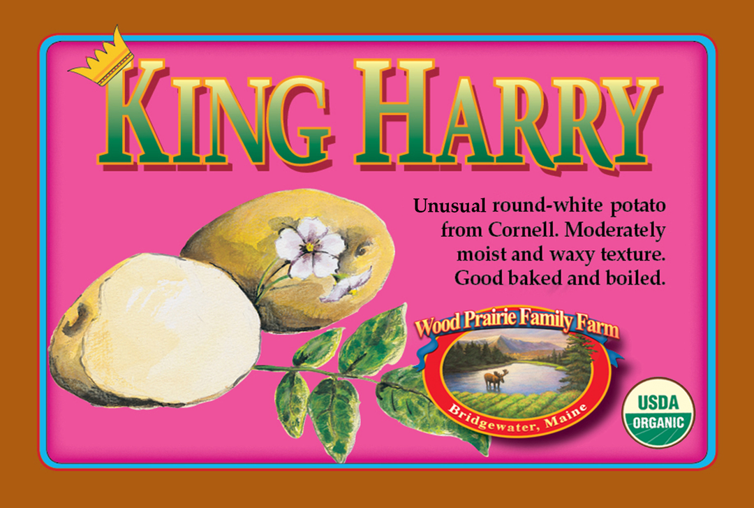 Organic King Harry Certified Seed Potatoes image 0