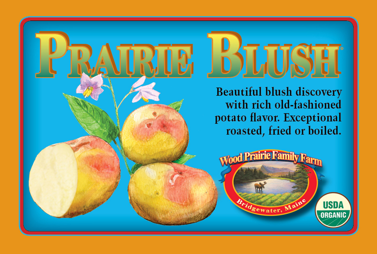 SUPREME. Organic Prairie Blush Certified Seed Potatoes image 0