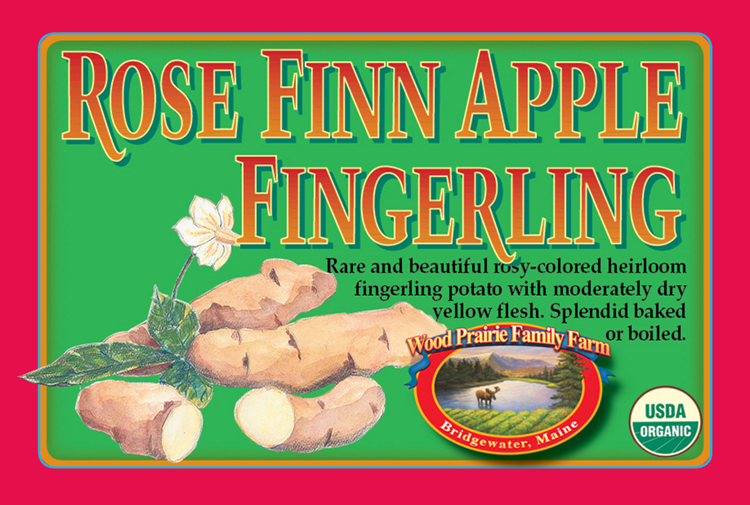 SUPREME. FINGERLING. Organic Rose Finn Apple Certified Seed Potatoes image 0