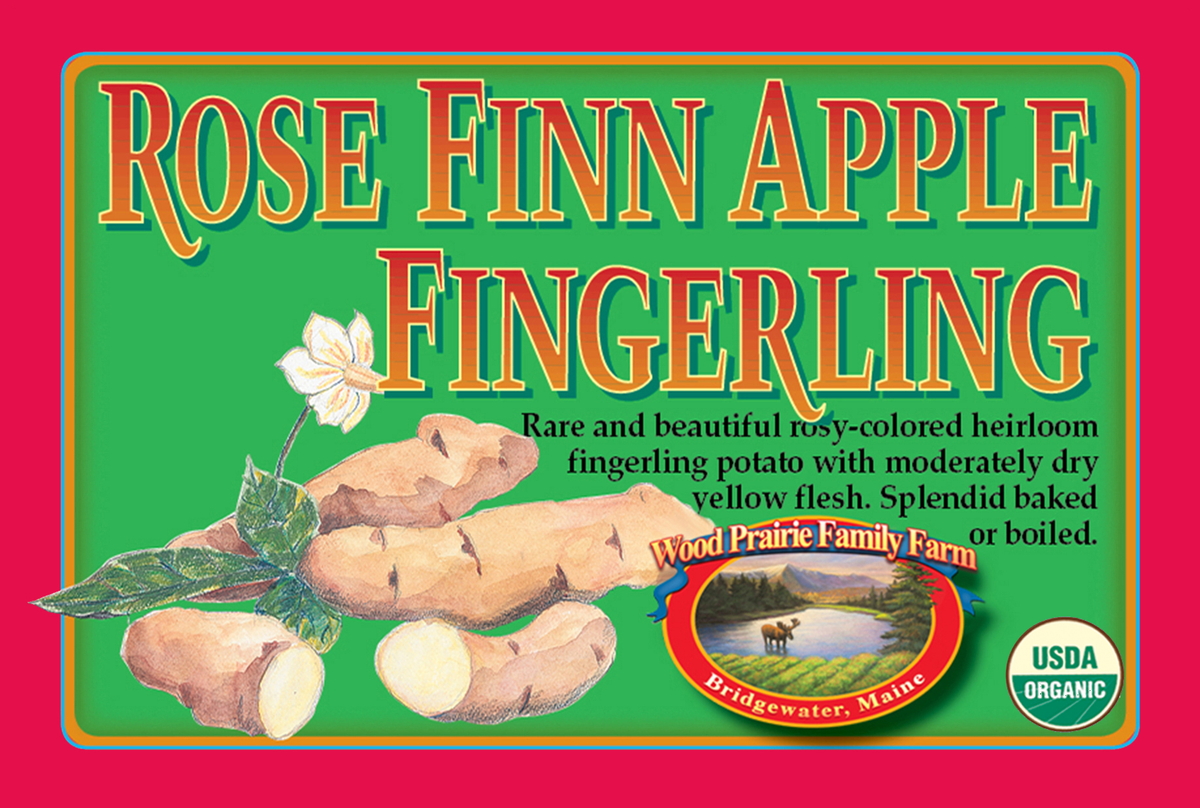 SUPREME. FINGERLING. Organic Rose Finn Apple Certified Seed Potatoes image 0